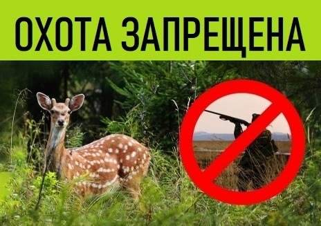 Административная и уголовная ответственность за незаконную охоту, ограничения осуществления охоты 