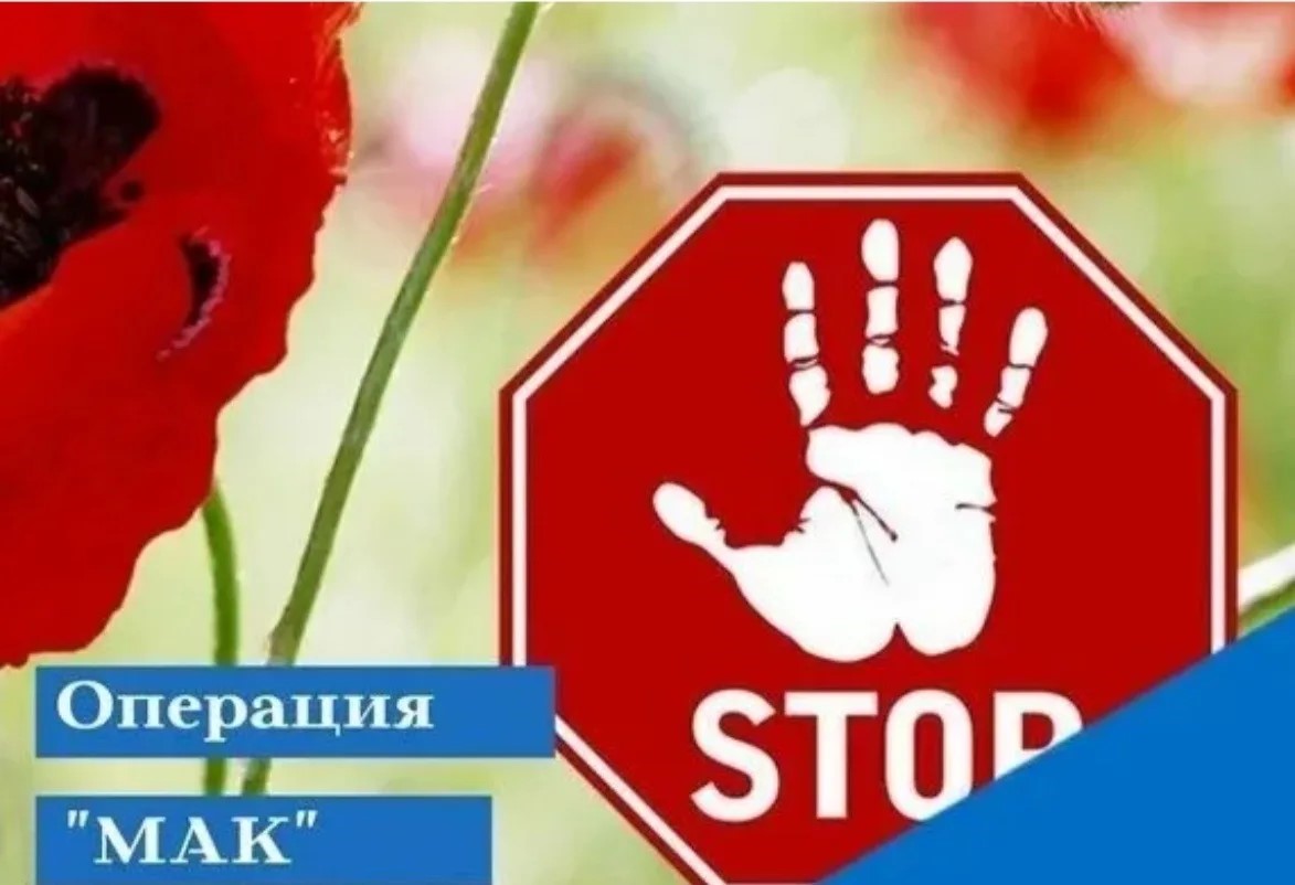 Операция "МАК-2026". 1 этап