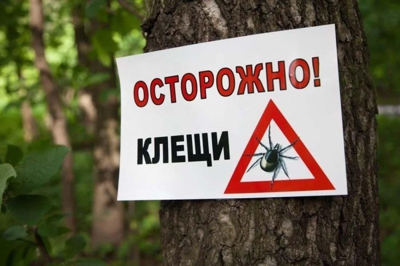 «Осторожно! Клещи!»