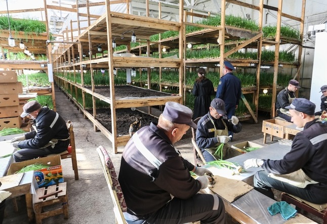 Организация закупок у учреждений ФСИН, функционирующих в Краснодарском крае