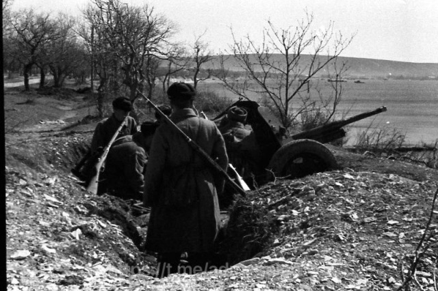 Уникальные кадры 1940-х в Геленджике 