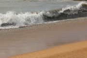 IMG_7003.JPG