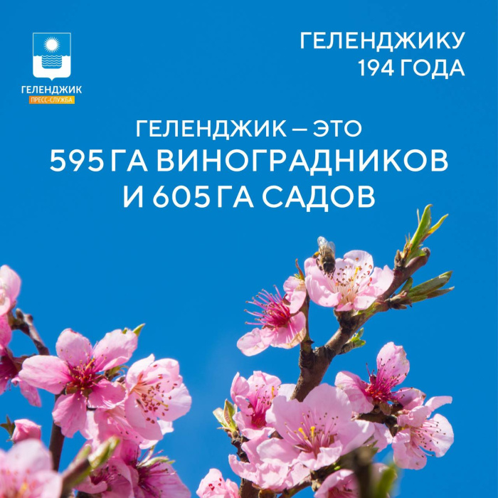 Наш курорт сегодня Наш курорт сегодня