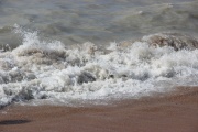 IMG_7032.JPG