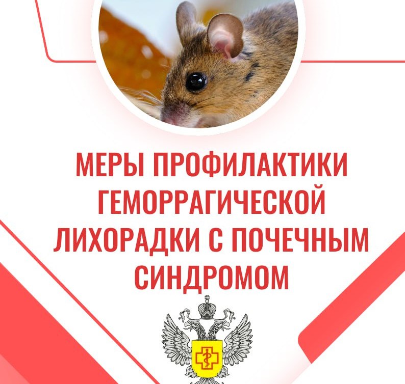 Меры профилактики геморрагической лихорадки с почечным синдромом