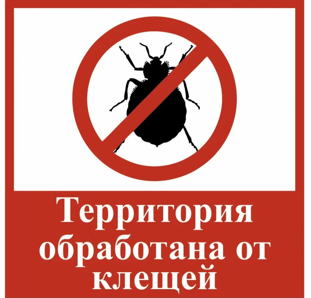 Противоклещевые мероприятия