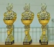 Всекубанский турнир по настольному теннису на Кубок губернатора Краснодарского края