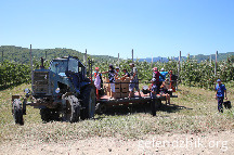 IMG_4337.JPG