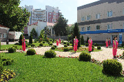 IMG_0382.JPG