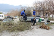 IMG_6937.JPG