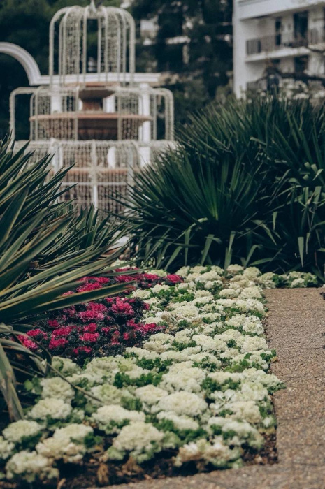 В Геленджике обновят зелёные насаждения 