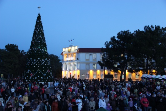 Главная елка Геленджика откроется 26 декабря