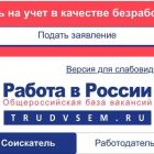 Инструкция по оформлению государственной услуги содействия гражданам в поиске подходящей работы