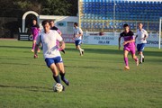 IMG_9372.JPG