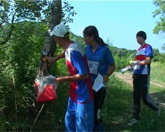 В Геленджике проходят соревнования «Альбатрос-2012»
