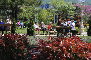 IMG_9328.JPG