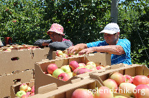 IMG_4275.JPG