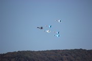 IMG_8539.JPG