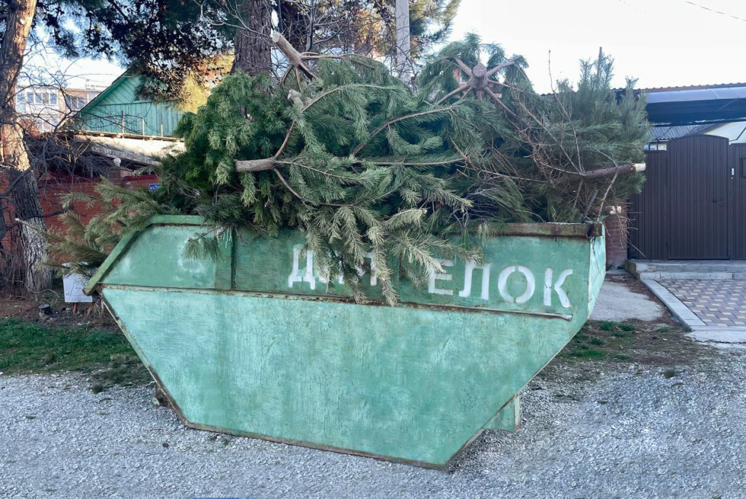 Геленджичане, присоединяйтесь к акции по сбору новогодних ёлок