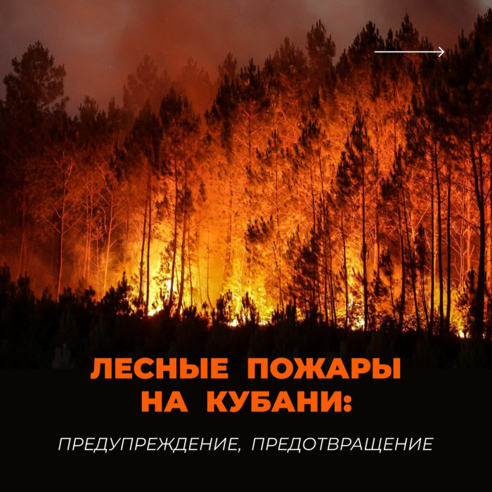Лесные пожары — одна из самых опасных природных катастроф