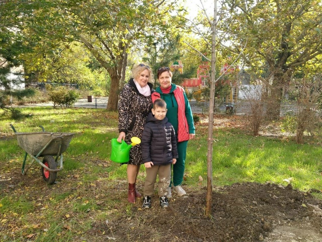 На ул. Херсонская, 22 жители многоквартирного дома вместе с депутатом Думы Геленджика Ниной Алексеевной Прозоровской высадили молодое деревце – каштан.