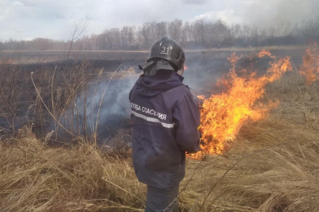 Правила поведения в пожароопасный период (пал сухой травы и отдых на природе)﻿