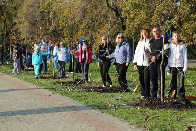 Зеленый Геленджик