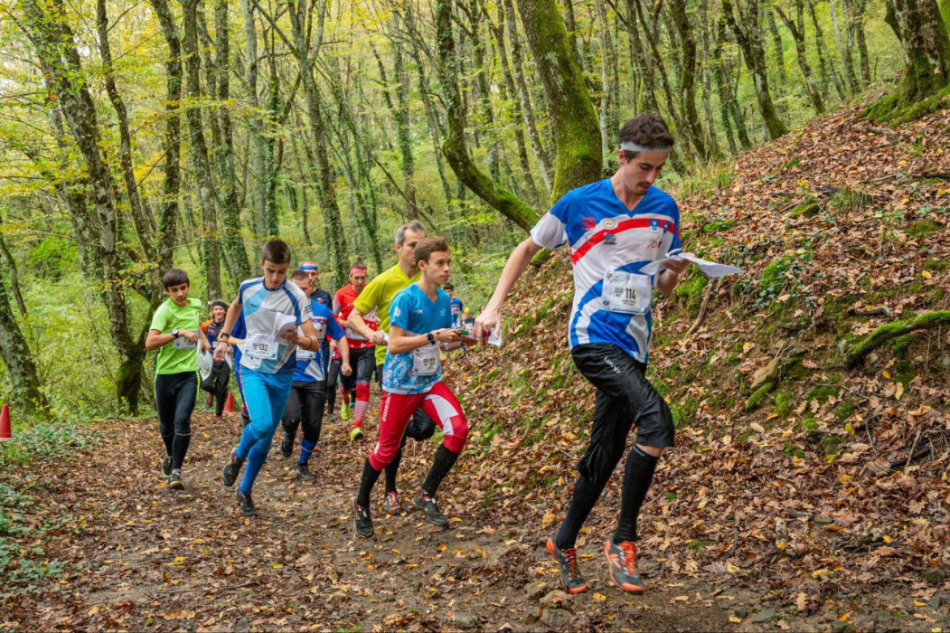 Ориентировщики из Геленджика успешно выступили на краевых соревнованиях Ориентировщики из Геленджика успешно выступили на краевых соревнованиях