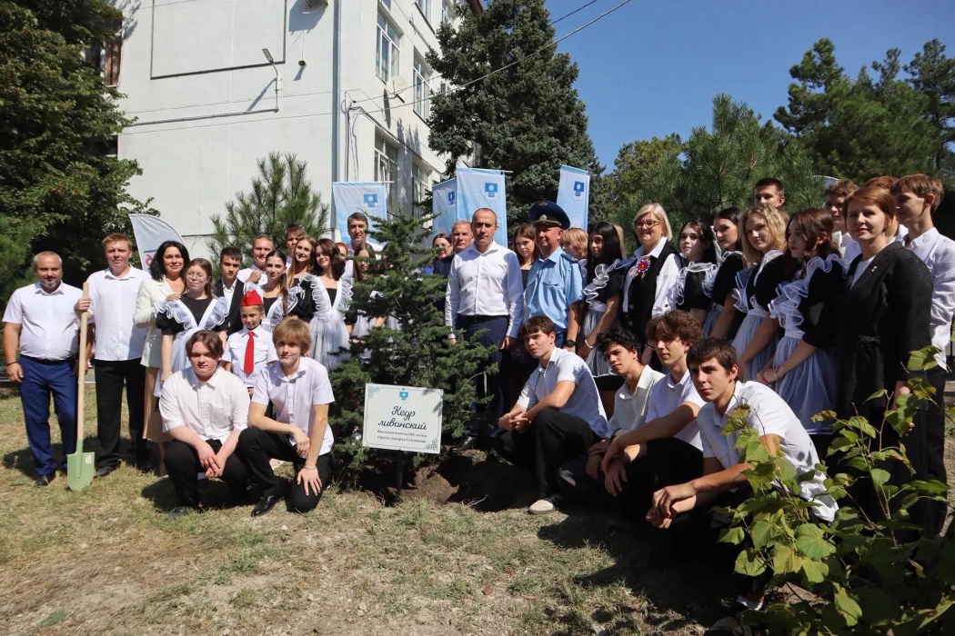 На курорте продолжают высаживать деревья