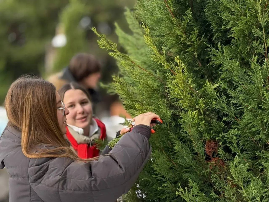 Волонтёры помогли разобрать новогодние украшения в Кабардинке 