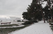 IMG_9186.JPG