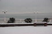 IMG_9143.JPG
