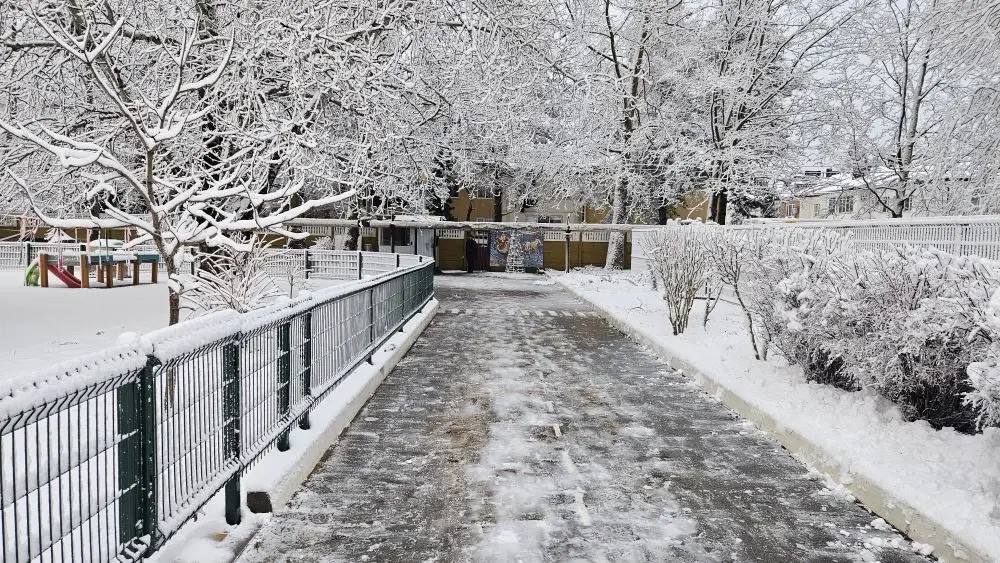 Учреждения образования Геленджика обеспечивают расчистку территорий