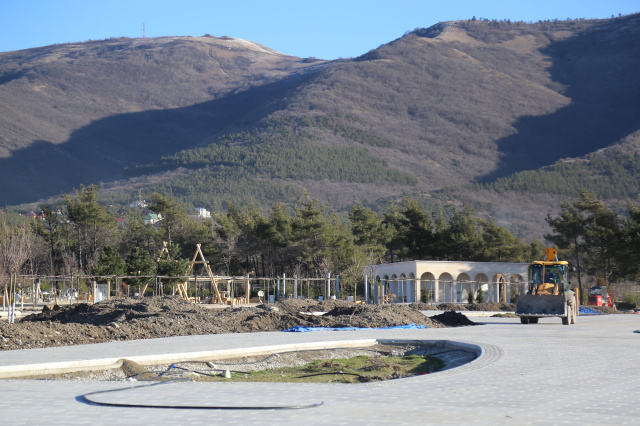 В Геленджике продолжается строительство дендропарка