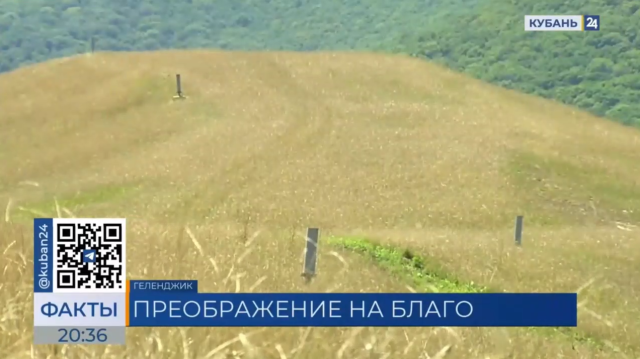 Как Геленджик становится уютнее и зеленее