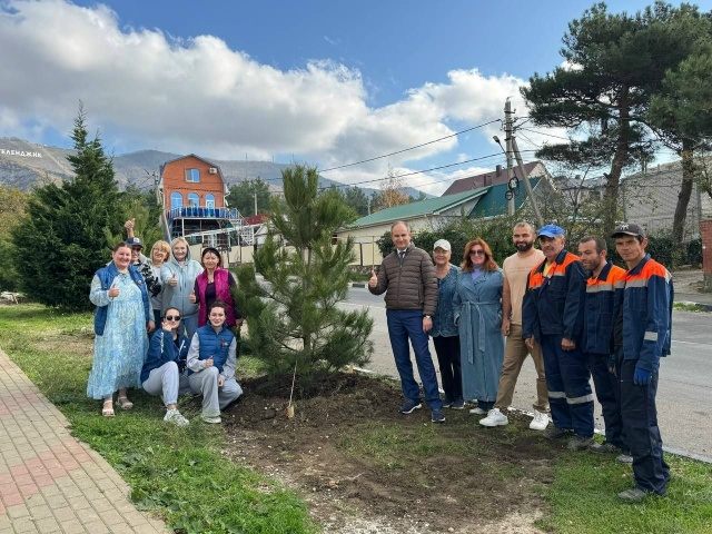 На ул. Горная жители района вместе председателем Думы Геленджика Михаилом Дмитриевичем Димитриевым посадили сосны и олеандры.