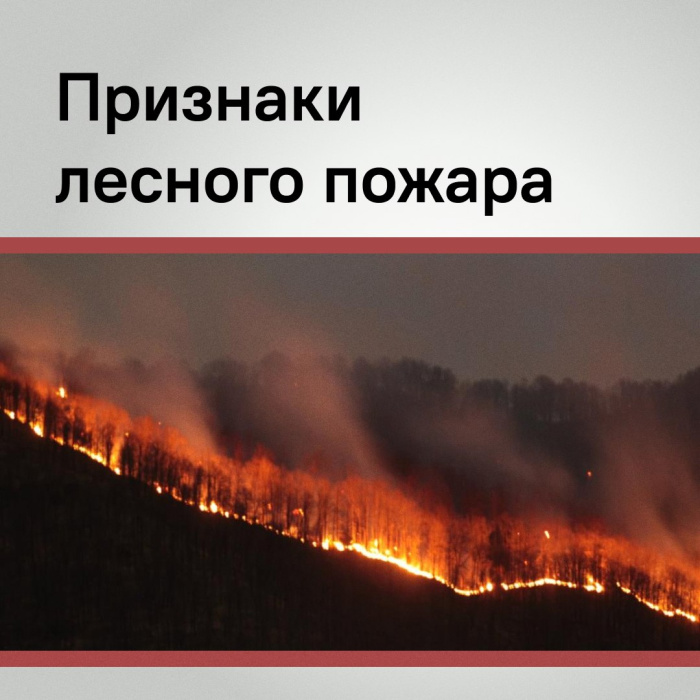 Во всех муниципальных образованиях Кубани введён особый противопожарный режим