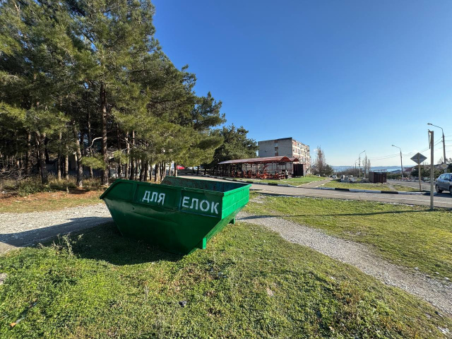 В Геленджике установят контейнеры для сбора елок 