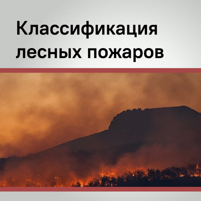 Пожары — главная опасность для лесного фонда Кубани!