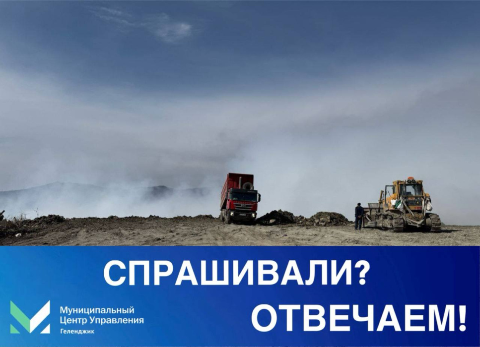 Почему не вывозят мусор? Почему не вывозят мусор?