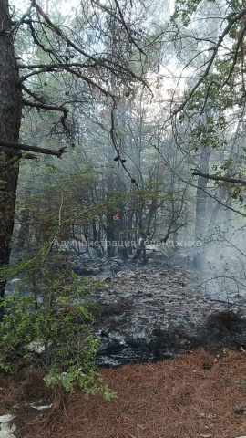 Пожар в Геленджике – локализован 