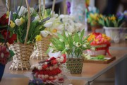 IMG_6582.JPG