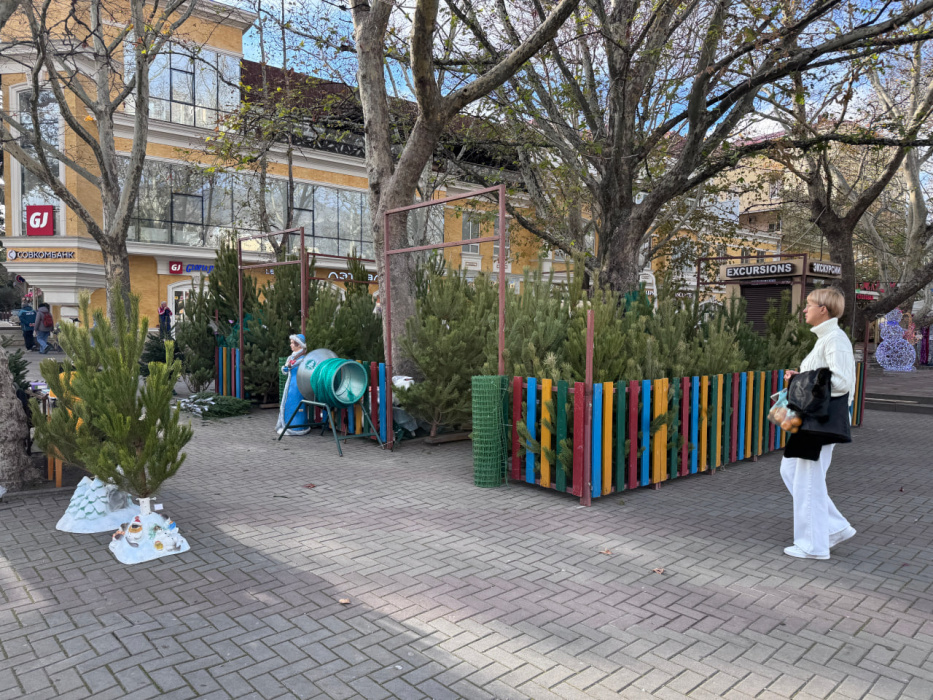 В Геленджике начали работу елочные базары