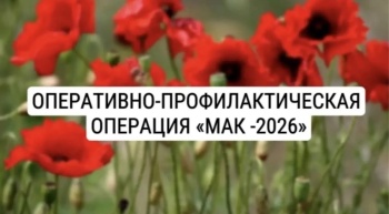 В Геленджике стартовал третий этап операции «Мак-2026»