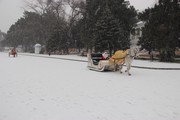 IMG_9122.JPG