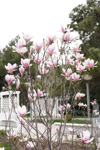 Культурная афиша до конца марта Культурная афиша до конца марта