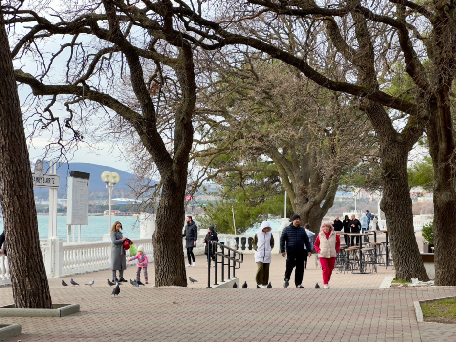 В 2025 году Краснодарский край, несмотря на все вызовы, принял 18 миллионов туристов