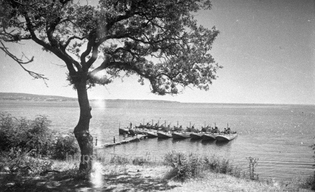 Уникальные кадры 1940-х в Геленджике