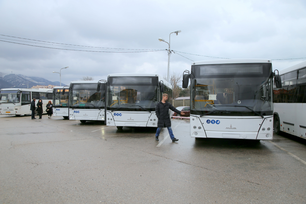 Геленджик принимает четыре автобуса