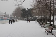 IMG_9105.JPG